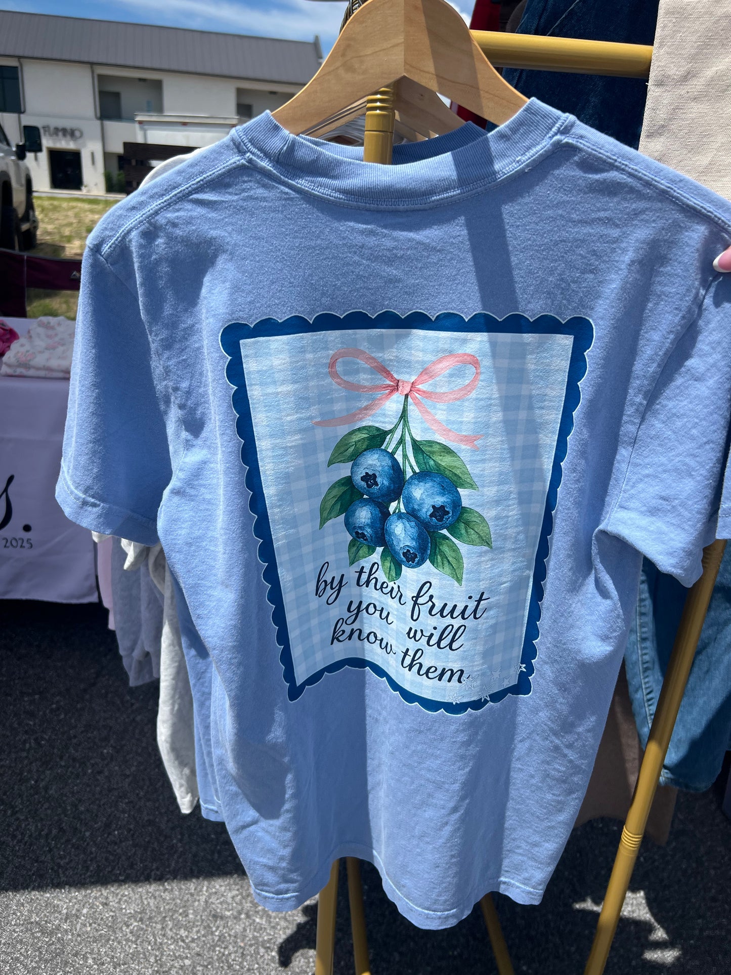 “By their fruit you will know them” comfort colors Tee
