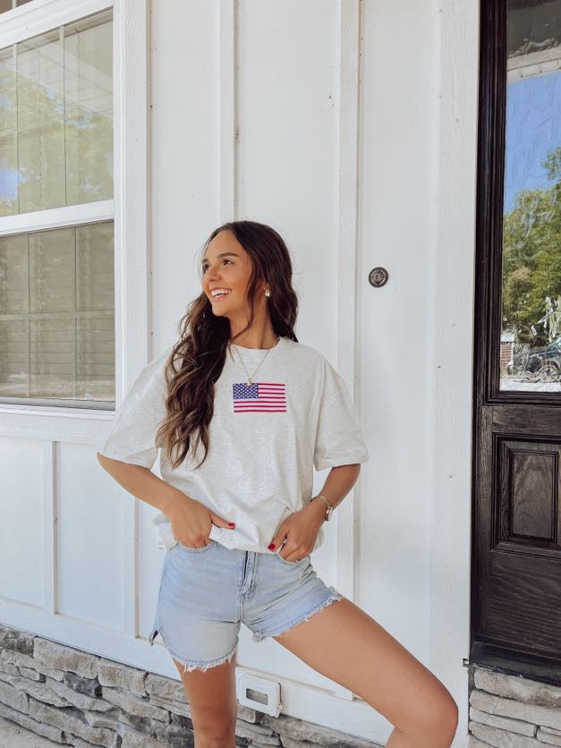 Sunkissed Coconut OVERSIZED American flag Embroider Tee