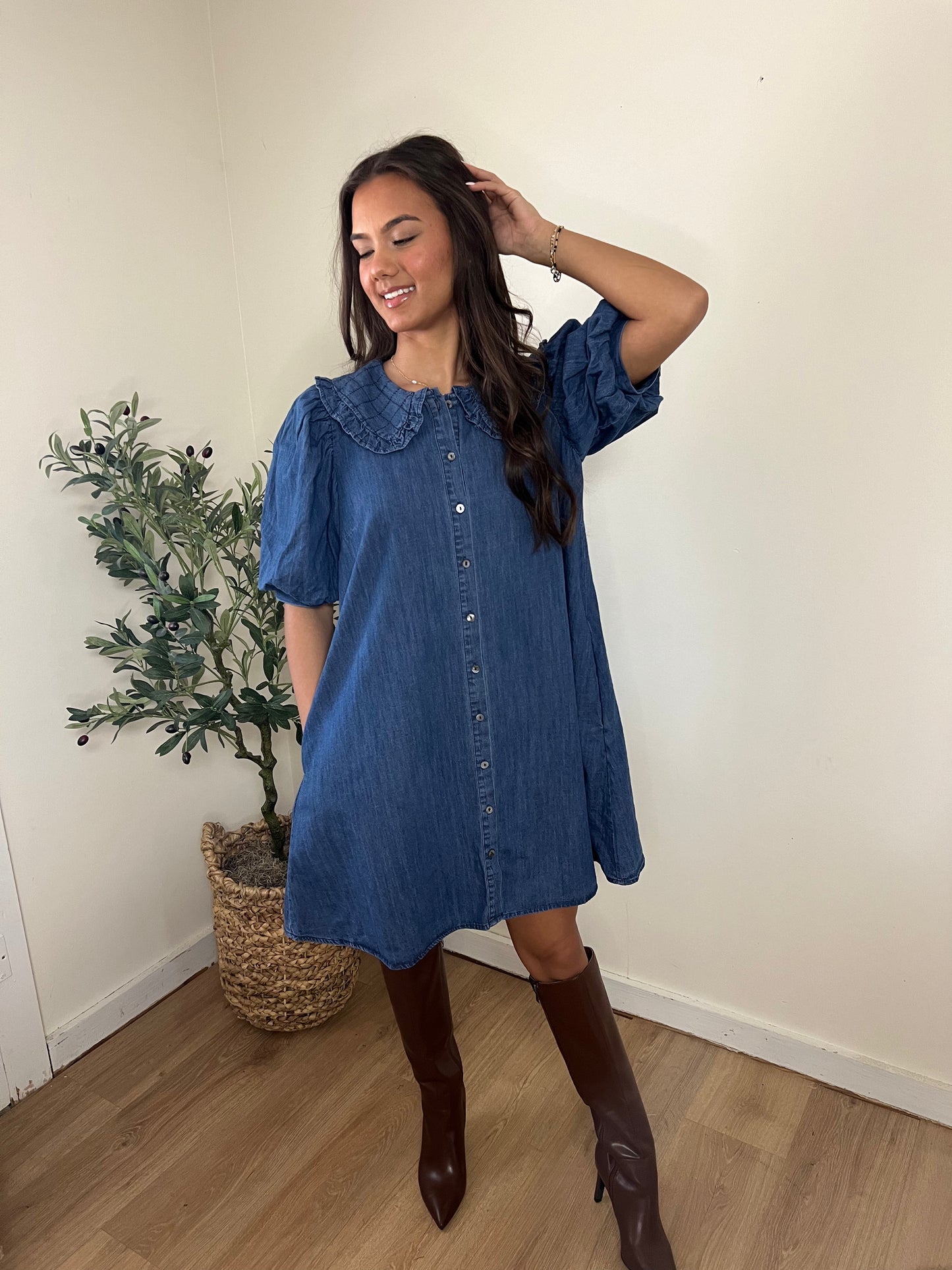 Denim Collar Dress