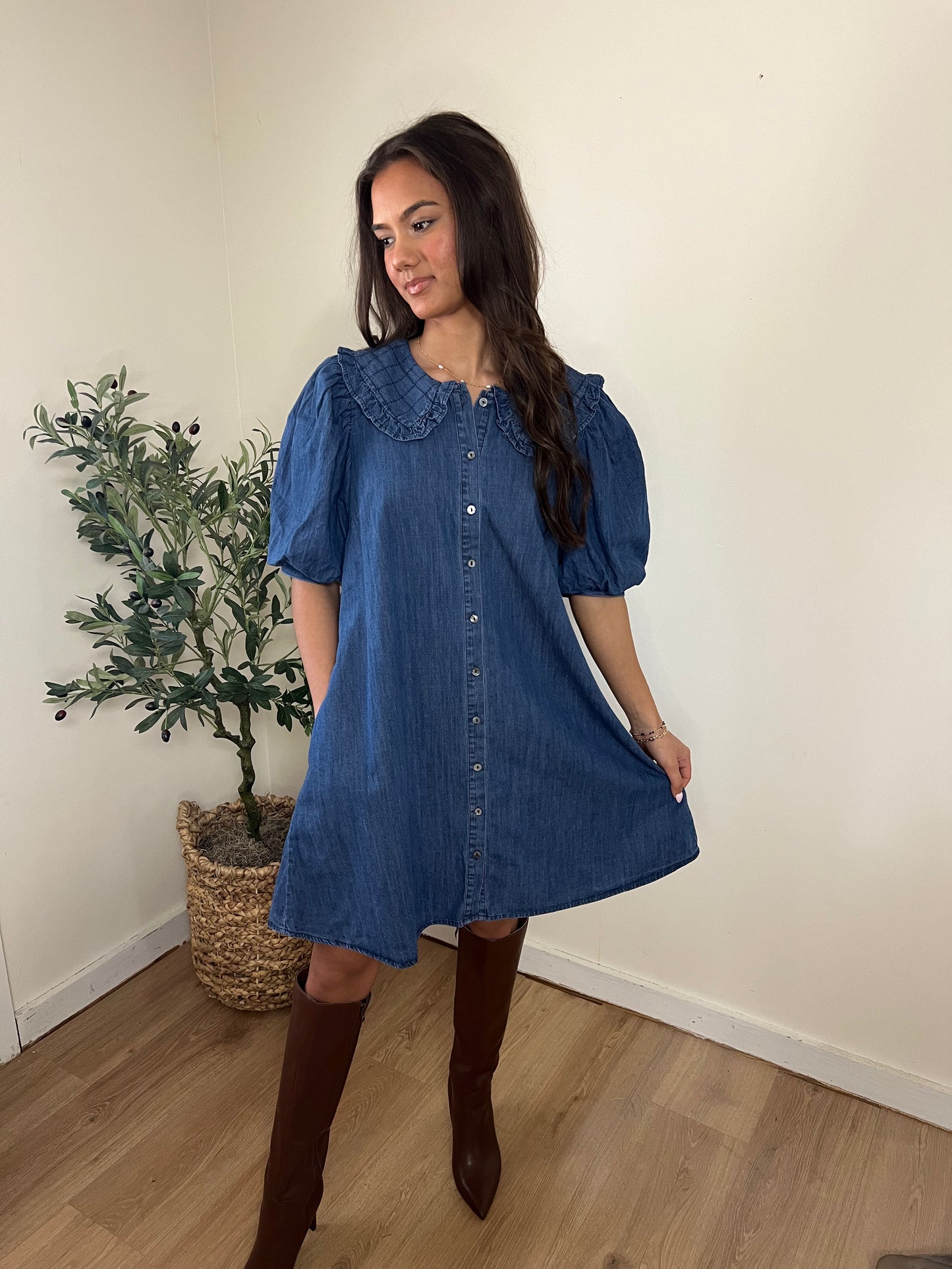 Denim Collar Dress