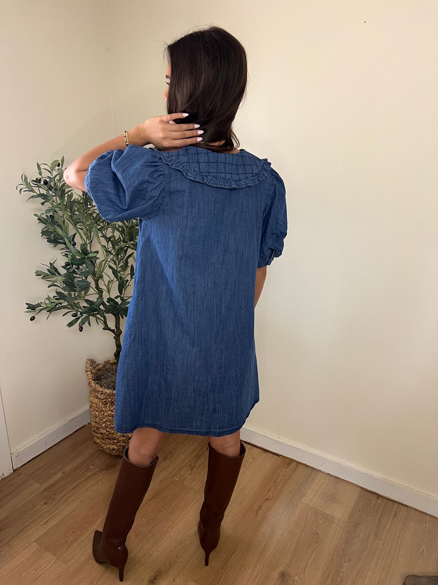 Denim Collar Dress